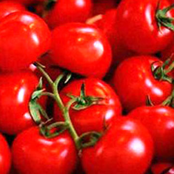 Tomatos health  Protect Heart Disease With a Tomato Pill 